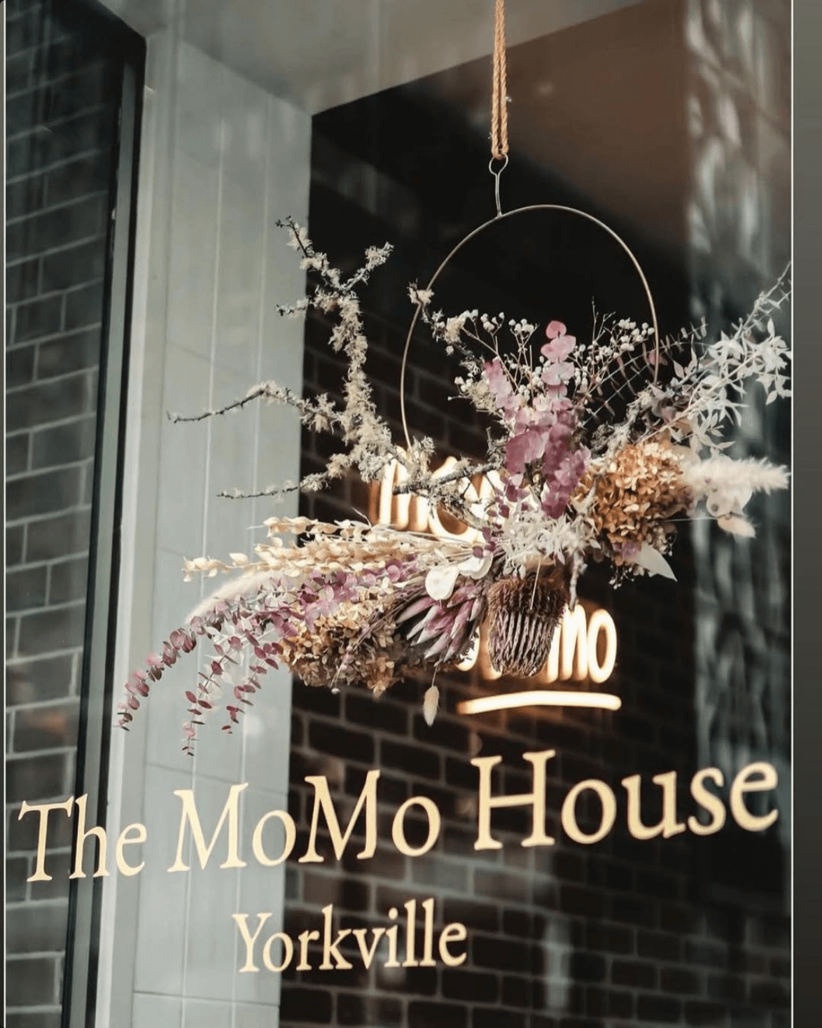 The MoMo House Yorkville